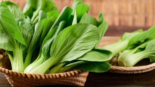 9 Manfaat Pakcoy untuk Kesehatan